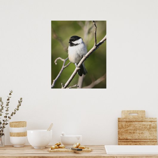 Poster Chickadee Blackcee (Cuisine)
