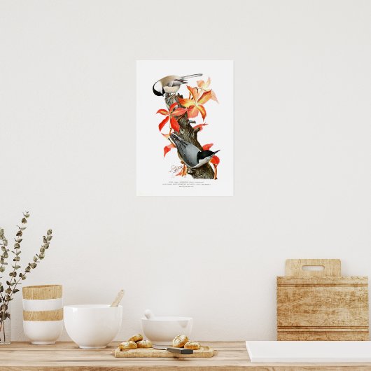 Poster Chickadee et Nuthatch (Cuisine)