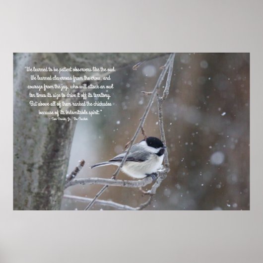 Poster Chickadee noir dans la neige - Texte amovible (Devant)