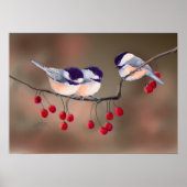 Poster CHICKADEES & BERRIES ROUGES par SHARON SHARPE (Devant)