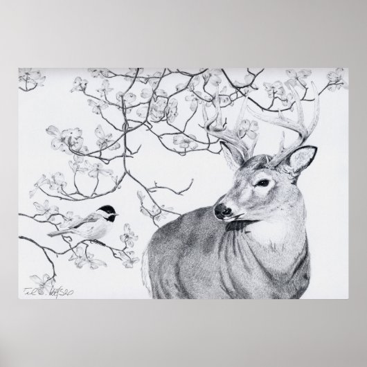 Poster Chickadee's Song (Devant)