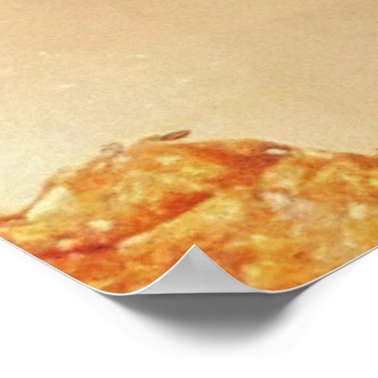 Poster Chicken Tendies Goddess (Coin)