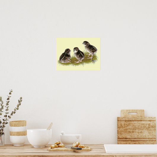 Poster Chicks de Coturnix (Cuisine)