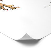 Poster Chicorée (Coin)