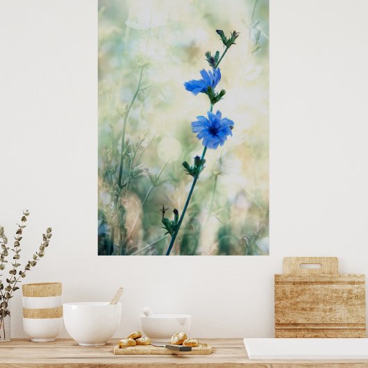 Poster Chicorée (Cuisine)