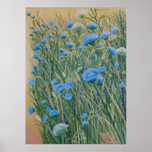 Poster Chicorée et mauvaises herbes sauvages