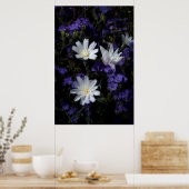 Poster Chicory et fleurs sauvages de Phacélie (Cuisine)
