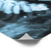 Poster Chief Sitting Bull et Buffalo Bill (Coin)