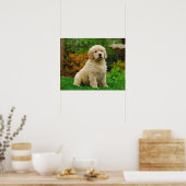 Poster Chien (Cuisine)