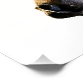 Poster chien (Coin)
