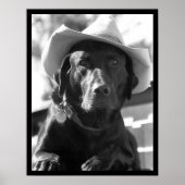 Poster chien (Devant)