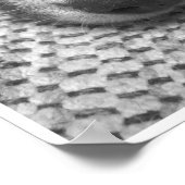 Poster Chien (Coin)
