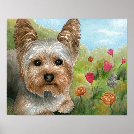 Poster Chien 117 Yorkshire (Devant)
