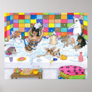 Poster Chien 121 chihuahua