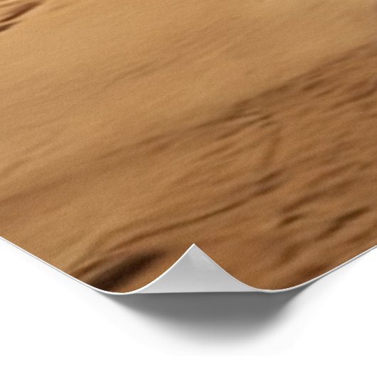 Poster Chien à balais à balais à vélo (Coin)