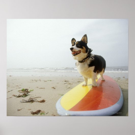Poster Chien à bord (Devant)