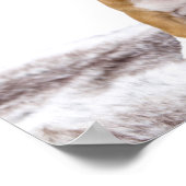 Poster Chien à chien mignon (Coin)