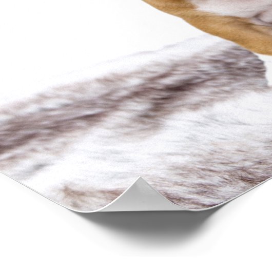 Poster Chien à chien mignon (Coin)