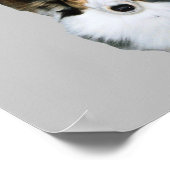 Poster Chien à la broche (Coin)