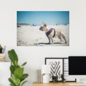 Poster Chien À La Plage (Bureau à domicile)