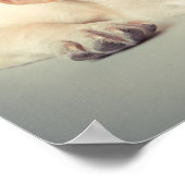 Poster Chien à tête noire (Coin)