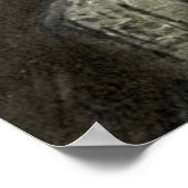 Poster Chien Adoring Girl (Coin)