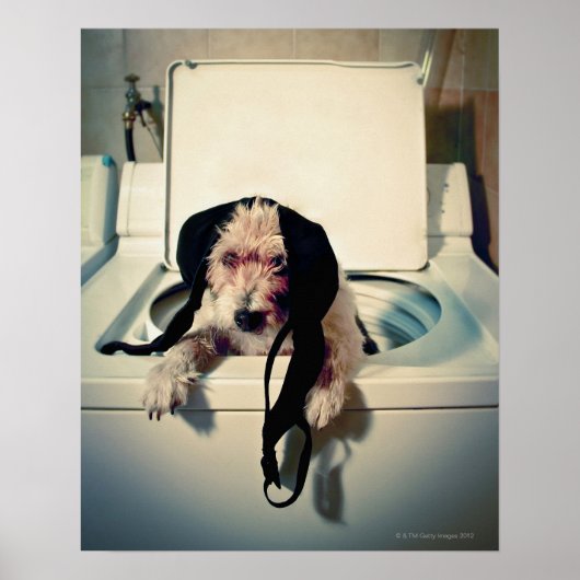 Poster Chien aidant avec le lavage (Devant)