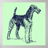 Poster Chien Airedale (Devant)