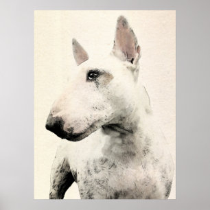 Poster Chien anglais Bull Terrier