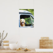 Poster Chien assis en voiture (Cuisine)
