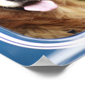 Poster Chien assis en voiture (Coin)