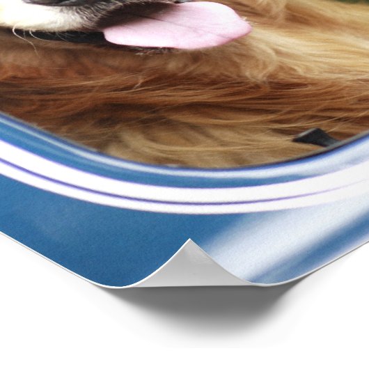 Poster Chien assis en voiture (Coin)