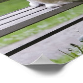 Poster Chien assis sur le banc du parc (Coin)