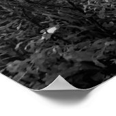 Poster Chien au soleil du matin (Coin)