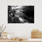 Poster Chien au soleil du matin (Cuisine)