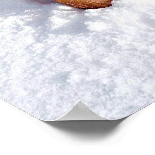 Poster Chien Avec Arbre En Neige (Coin)