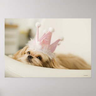 Poster Chien avec couronne
