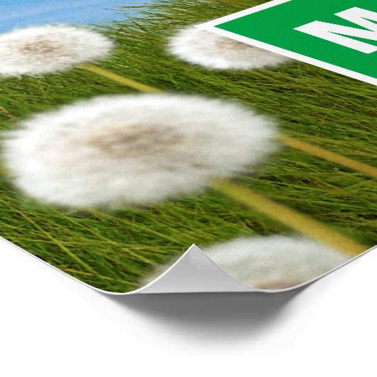 Poster Chien avec Dandelion (Coin)