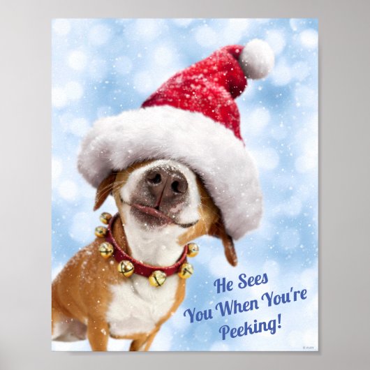 Poster Chien avec grand chapeau de Père Noël (Devant)
