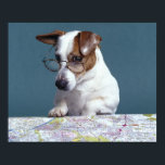Poster Chien avec lunettes de lecture étudier la carte<br><div class="desc">Animaux->Chien</div>