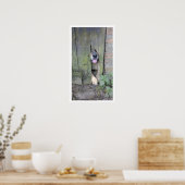 Poster Chien avec nez à travers trou dans la clôture (Cuisine)