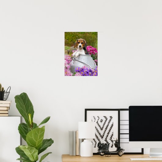 Poster Chien Beagle mignon chiot dans une église de lait, (Bureau à domicile)