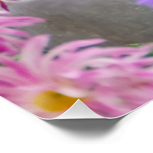 Poster Chien Beagle mignon chiot dans une église de lait  (Coin)