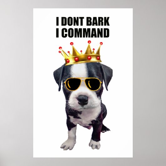 Poster Chien bébé cool avec une phrase drôle en haut (Devant)