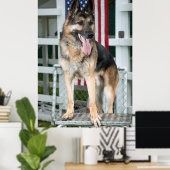 Poster Chien berger allemand (Bureau à domicile)