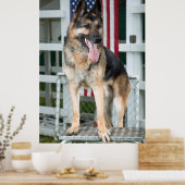 Poster Chien berger allemand (Cuisine)