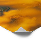 Poster Chien berger allemand Loup noir (Coin)