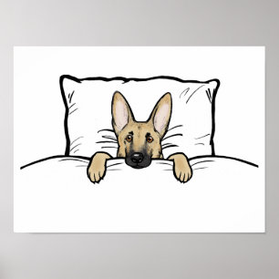 Poster Chien berger allemand mignon concocté dans un lit