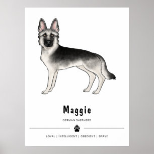 Poster Chien Berger Allemand Silver Sable et texte person