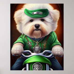 Poster Chien Bichon Frisé conduisant un vélo pour la Sain